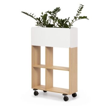 Lillekast AURA riiuliga