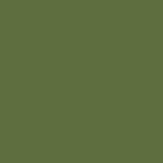 Fern green RAL6025