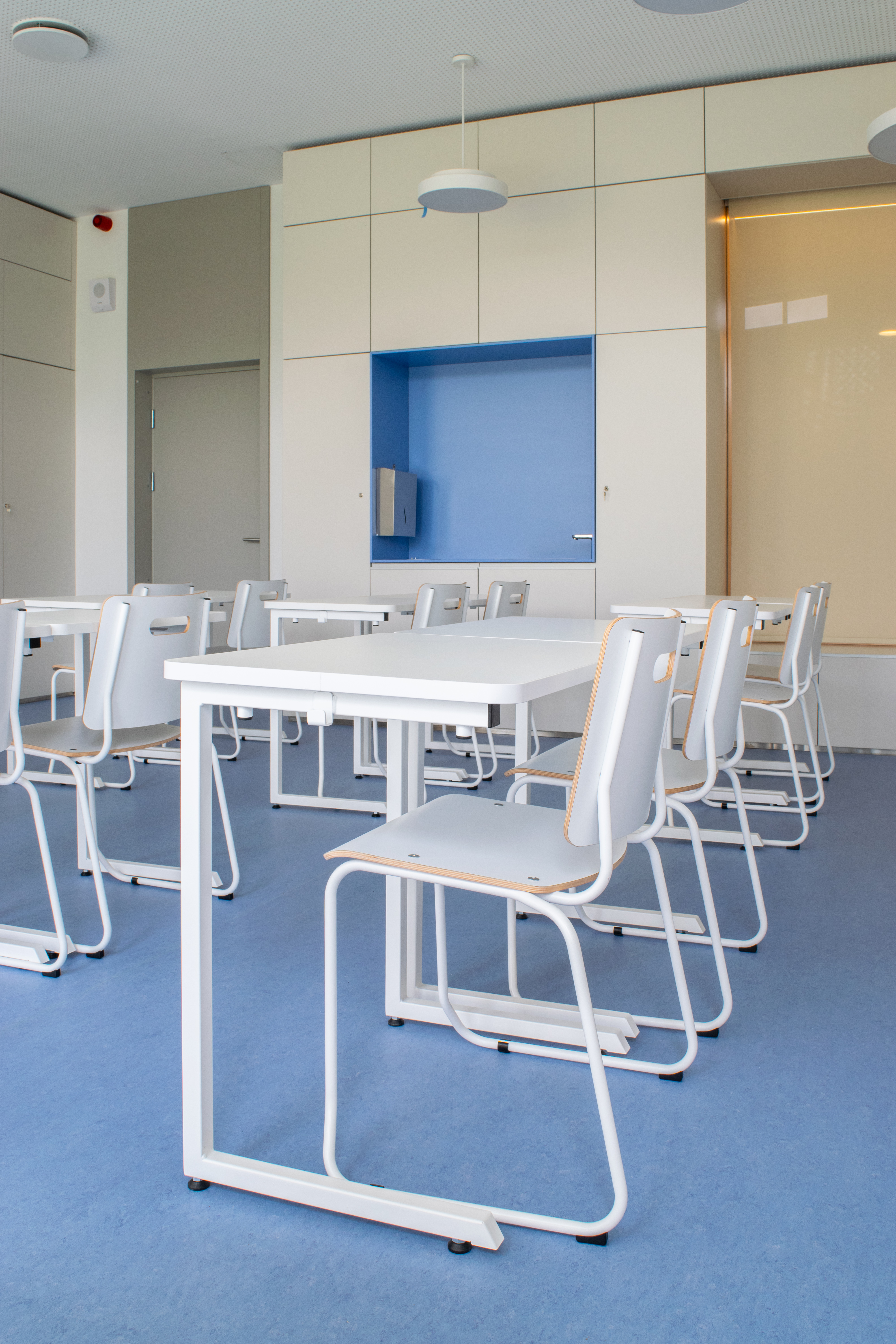 Virnastatav koolilaud Lesta