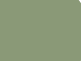 Pale Green (6021)